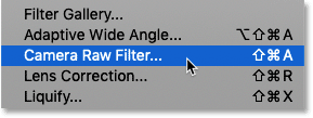 Выберите Camera Raw Filter, зайдя в меню Filter в строке меню и выбрав Camera Raw Filter :
