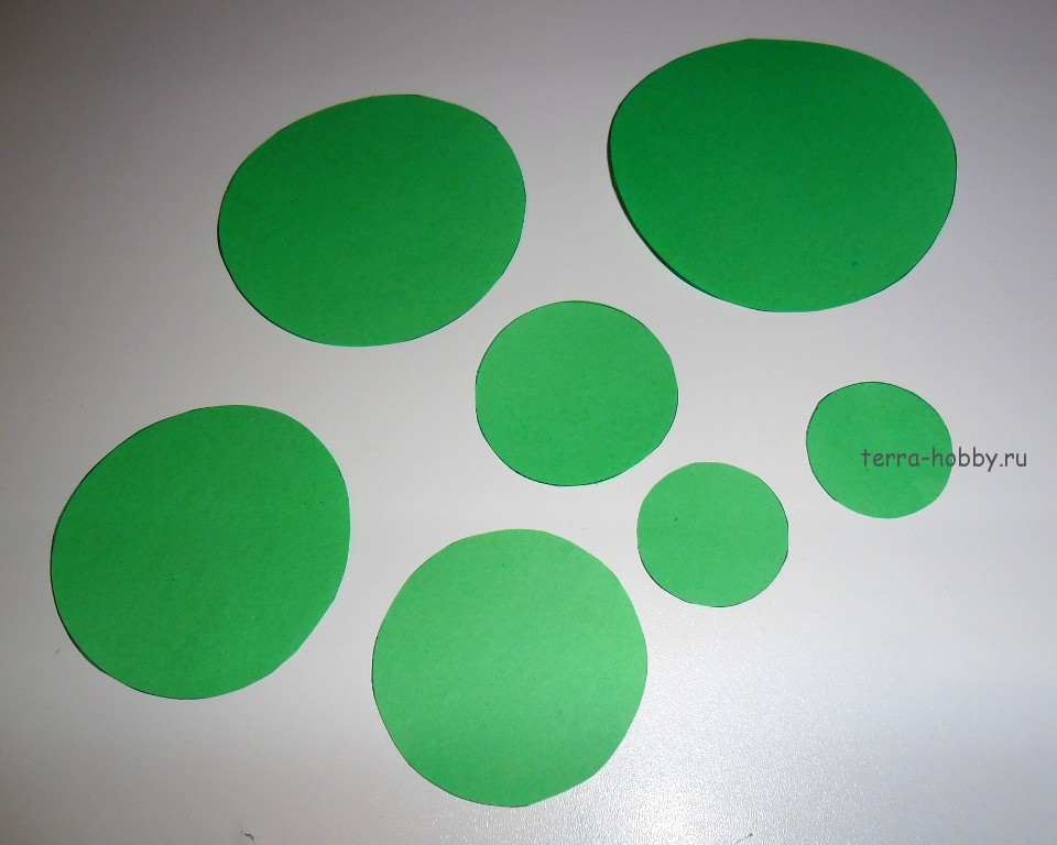 Виріжте з зеленої папери 7-9 кружечків різного діаметру