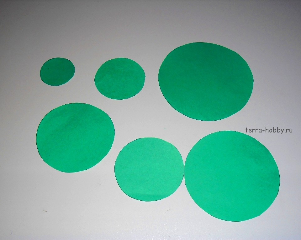Виріжте з зеленої папери 6-7 кружечків різного діаметру