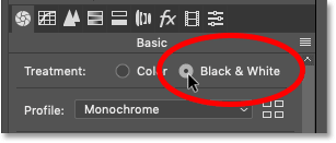 к   преобразовать ваше цветное изображение в черно-белое   Начните с изменения параметра « Обработка» на панели «Основные» с цветного на черно-белый :