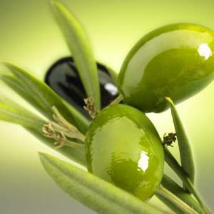 Оливкова олія є важливим продуктом для підтримки здоров'я і краси